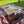 Foldable Wooden Low Table - Built-in Legs